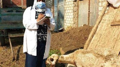 بيطري الشرقية يسحب 6812 عينة للحفاظ علي الثروة الحيوانية بـ 522 قرية 