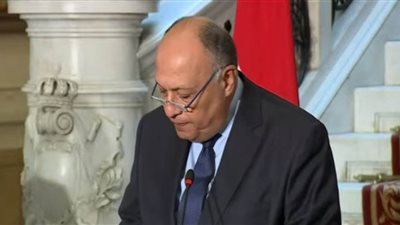 شكري: القضية الفلسطينية على سلم أولويات السياسة الخارجية المصرية.. ونعتزم تنظيم اجتماع بصيغة ميونخ