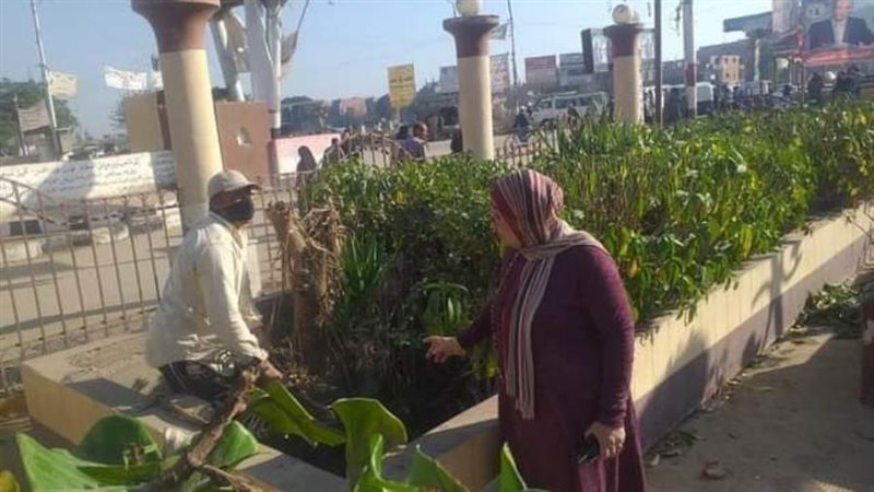 بوابة روز اليوسف