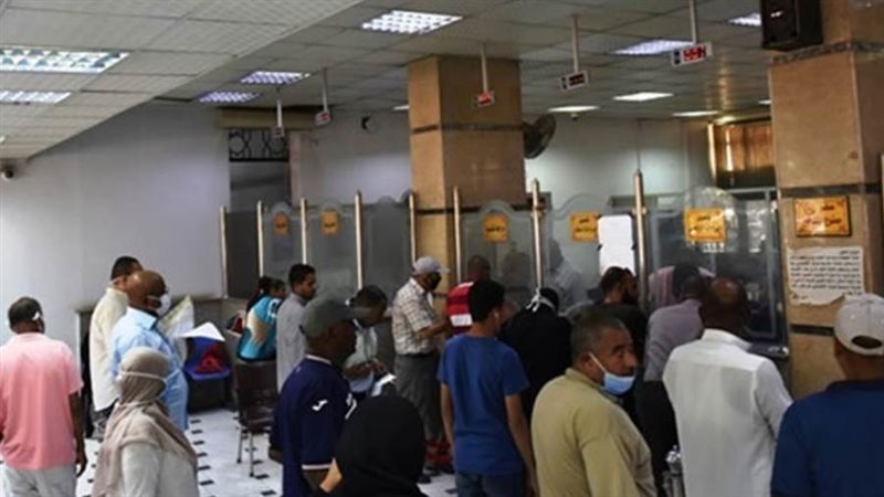 بوابة روز اليوسف