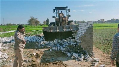 إزالة 4 حالات تعدٍ على الأراضي الزراعية بالبحيرة