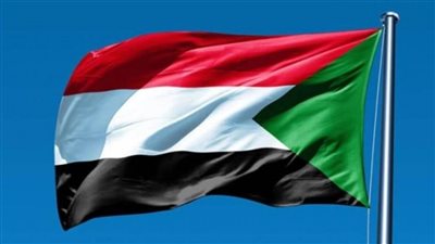 الأمين العام للأوقاف السودانية يشيد بتجربة هيئة الأوقاف المصرية في إدارة واستثمار مال الوقف