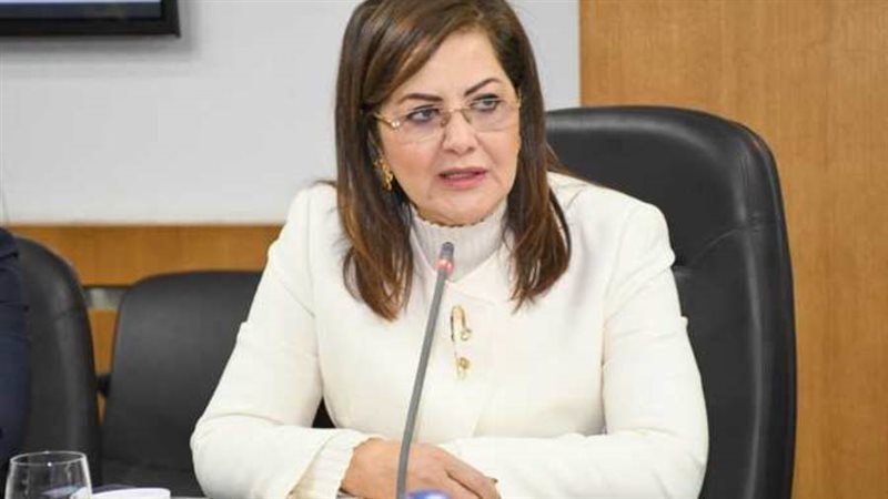 وزيرة التخطيط