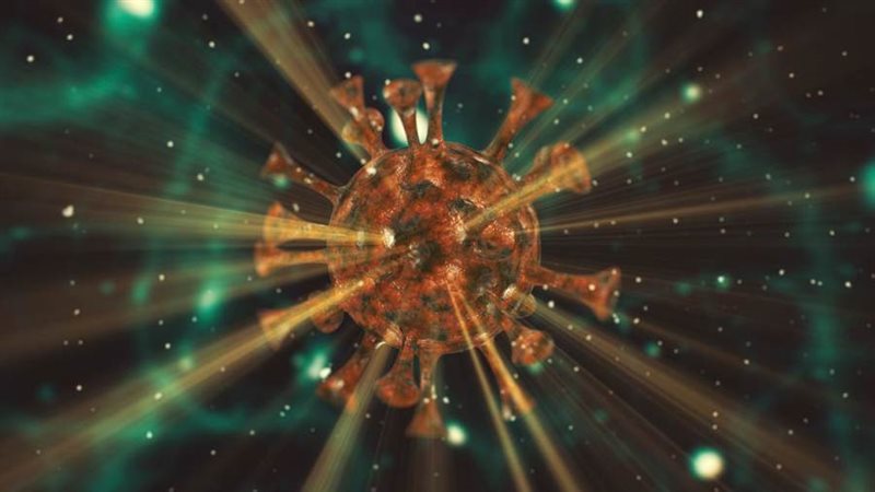 السلالة الجديدة لكورونا