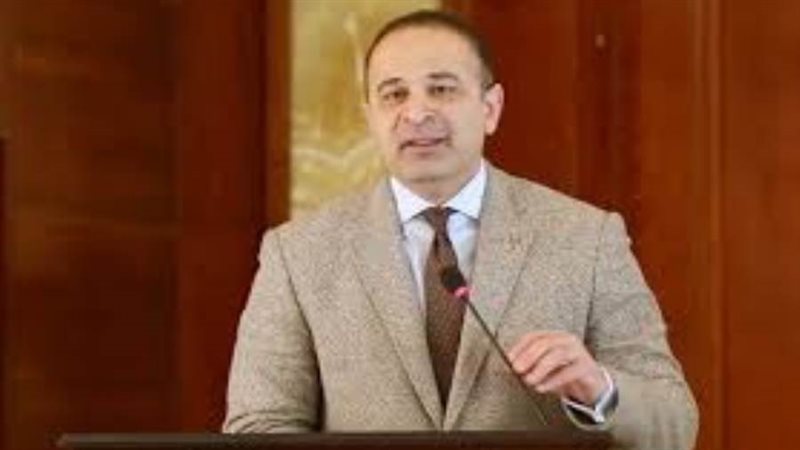 نائب وزيرة التخطيط