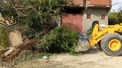 الإسكندرية تشن 7 حملات مكبرة لإزالة الإشغالات وتنفيذ الإجراءات الاحترازية