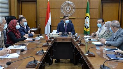 تطوير 26 قرية بمركز شربين ضمن مبادرة 