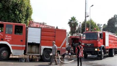 تفاصيل نفوق 27 من الماشية في حريق هائل بكفر الشيخ