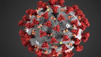 عالم فيروسات إيطالي: روما أغلقت الحدود بعد وصول السلالة الجديدة من كورونا بالفعل