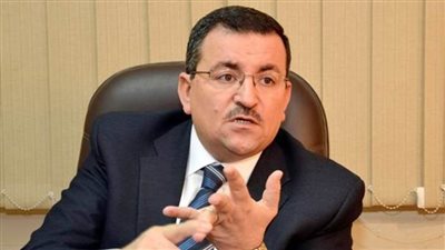 هيكل: مشاركة الإعلام ضرورية لمواجهة التحديات في العالم العربي