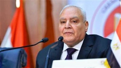 المجلس القومي لحقوق الإنسان ينعي المستشار لاشين إبراهيم