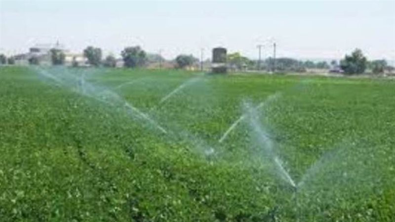 صورة أرشيفة