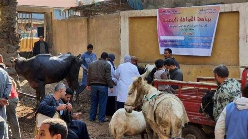 قافلة بيطرية مجانية
