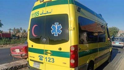 إصابة شقيقبن في حادث تصادم بالطريق الزراعي بطوخ