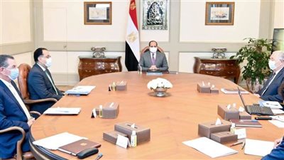 الرئيس السيسي يوجه بتوفير عوامل النجاح لمشروعات الأمن الغذائي