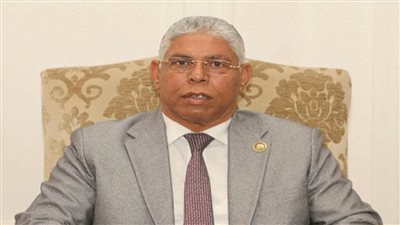 سيد عوض: الانتخابات النيابية حصاد الديمقراطية في عهد السيسي