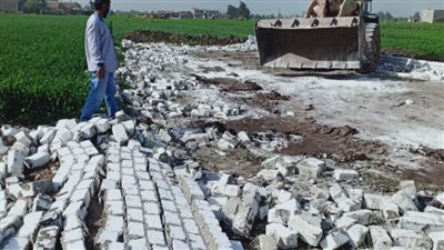 إزالة 11 حالة تعدٍ على الأراضي الزراعية بالبحيرة