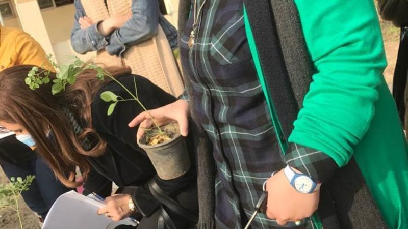 طالبات جامعة حلوان