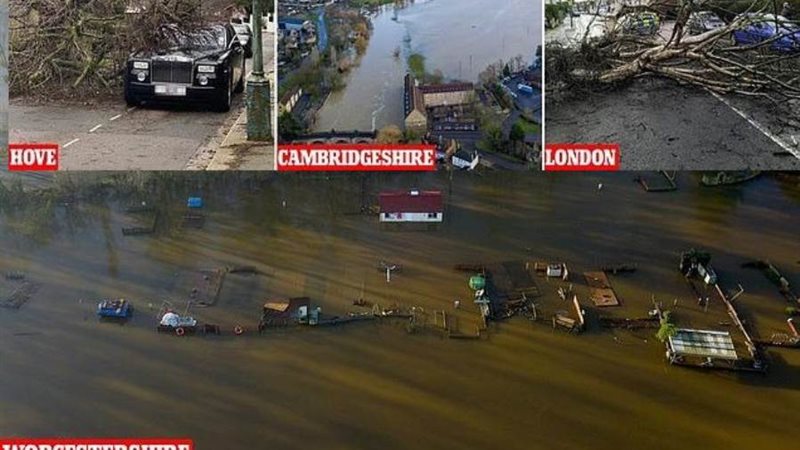 بيلا تهاجم بريطانيا