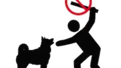 بعد تداول الواقعة على الـ