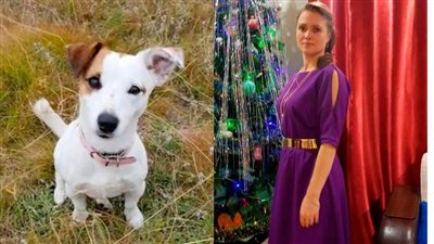 الكلب الوفي يضحي بحياته لإنقاذ صاحبه 