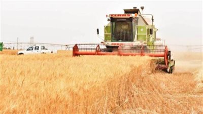 بالإنفوجراف.. حصاد قطاع الزراعة لعام 2020