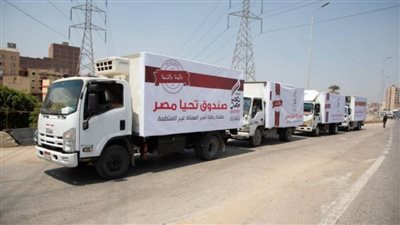 إنجازات صندوق تحيا مصر خلال 2020