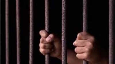 السجن المؤبد لـ3 متهمين في قضية خلية الشرابية