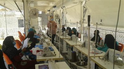 القوى العاملة بالمنيا توظف 295 شابًا وفتاة بالقطاع الخاص والاستثماري