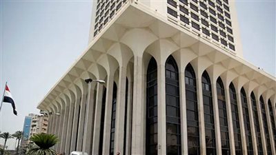 2020 صفحة مضيئة في مسيرة سياسة الخارجية المصرية