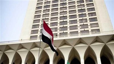 2020 تشهد جهودا مكثفة للدولة المصرية لرعاية المصريين بالخارج والحفاظ على حقوقهم