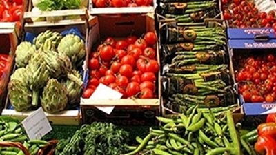 وزير الزراعة: صادرات مصر الزراعية تتجاوز الـ 5 ملايين طن رغم تفشي فيروس كورونا