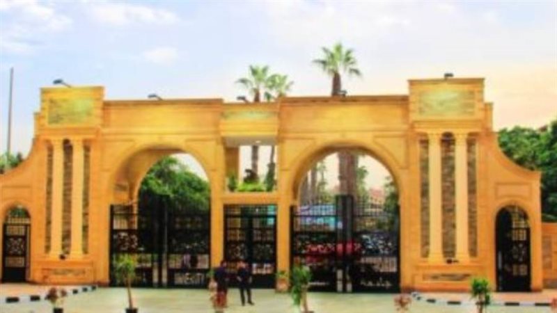 جامعة المنصورة