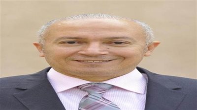 الششتاوي: فنادق إقامة منتخبات اليد بمثابة مستشفى قائم بذاته