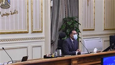 الحكومة تنفي شائعة دخول شحنة فسائل نخيل مستوردة غير مطابقة إلى البلاد