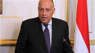 شكري يصل إلى المملكة العربية السعودية للمشاركة في اجتماع المجلس الأعلى لمجلس التعاون الخليجي