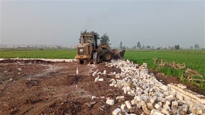 إزالة حالتي تعد على الرقعة الزراعية بالمنصورة