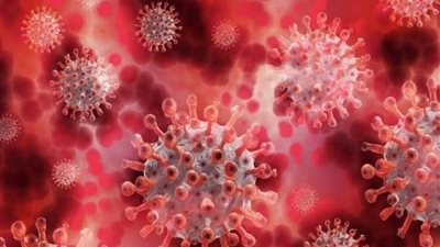 فريق عمل البيت الأبيض لمكافحة كورونا يحذر من سلالة محتملة جديدة للفيروس تطورت في الولايات المتحدة