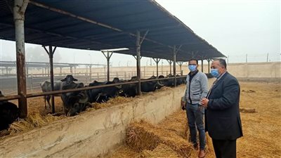 محافظ أسيوط: استكمال خطة تطوير مزارع الثروة الحيوانية
