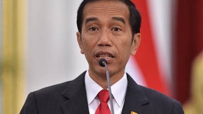 الرئيس الإندونيسي يعرب عن تعازيه في مأساة الطائرة المنكوبة