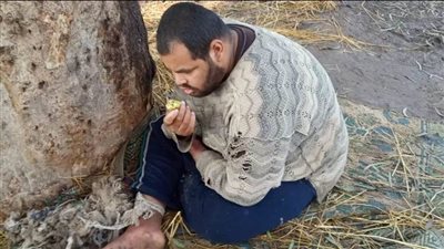 التضامن الاجتماعي تتكفل بالشاب المعاق ذهنيًا بفاقوس