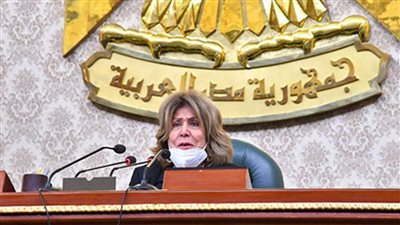 خلال الجلسة الحالية...فريدة الشوباشي توضح للنواب الجدد أسباب بطلان الأصوات على مقعد 