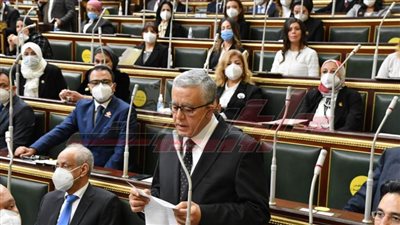 مفتي الجمهورية يهنئ المستشار الجبالي برئاسة البرلمان