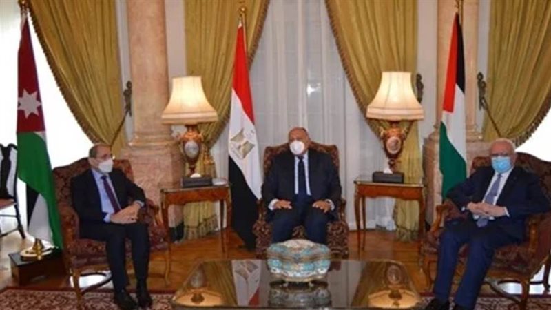 شكرى يستقبل وزراء