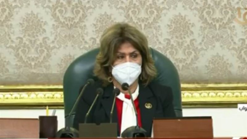 النائبة فريدة الشوباشى