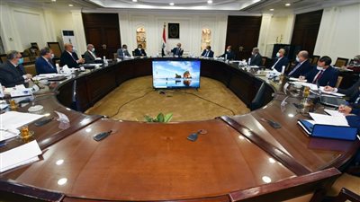 الجزار:المبادرة الرئاسية 