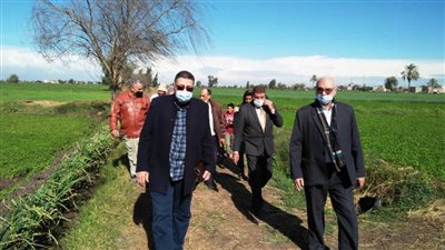 رئيس قطاع الخدمات والمتابعة بوزارة الزراعة يتفقد المحاصيل بالبحيرة