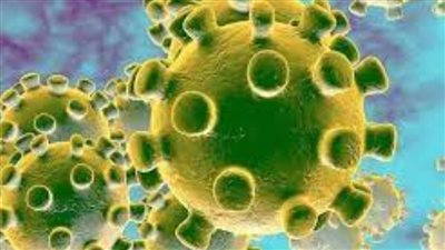 هيئة روسية تعلن اكتشاف ما يقرب من 1500 طفرة لفيروس 