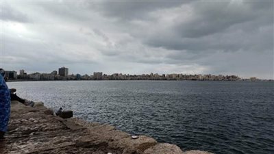 سقوط أمطار خفيفة على الإسكندرية  