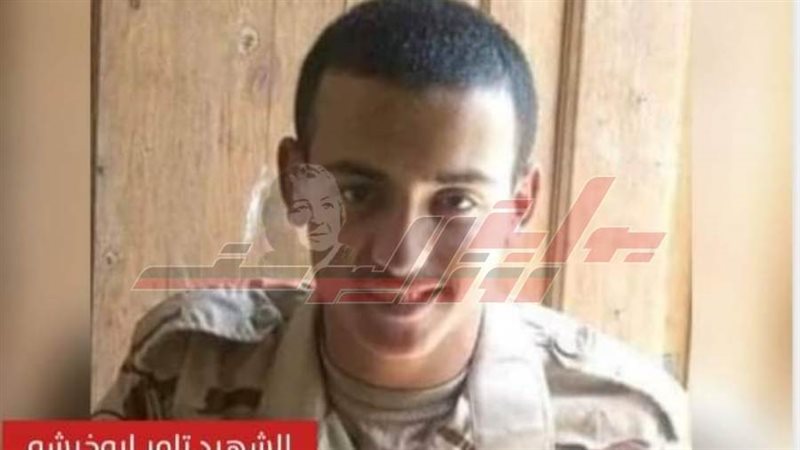 الشهيد تامر أمين